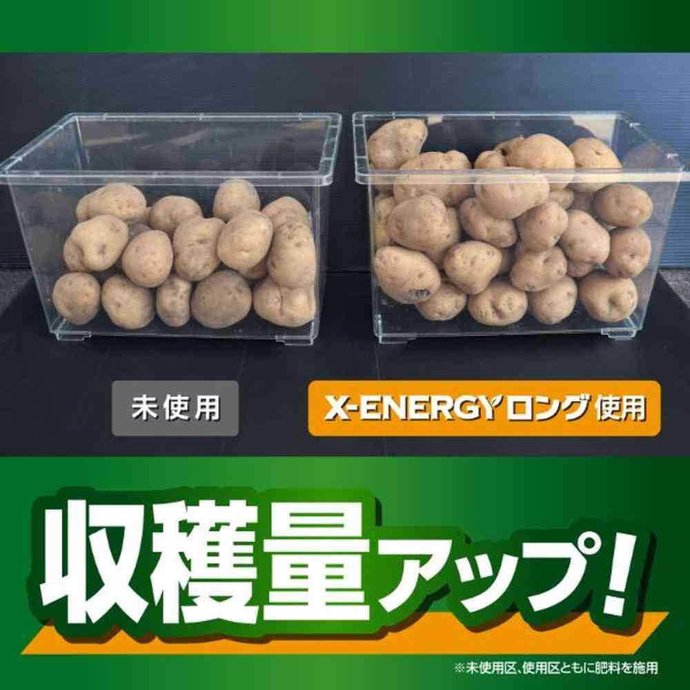 キンチョー X-ENERGY ロング 粒タイプ 700g - Image 3
