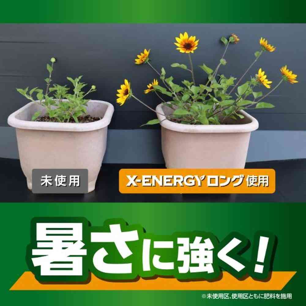 キンチョー X-ENERGY ロング 粒タイプ 700g - Image 4