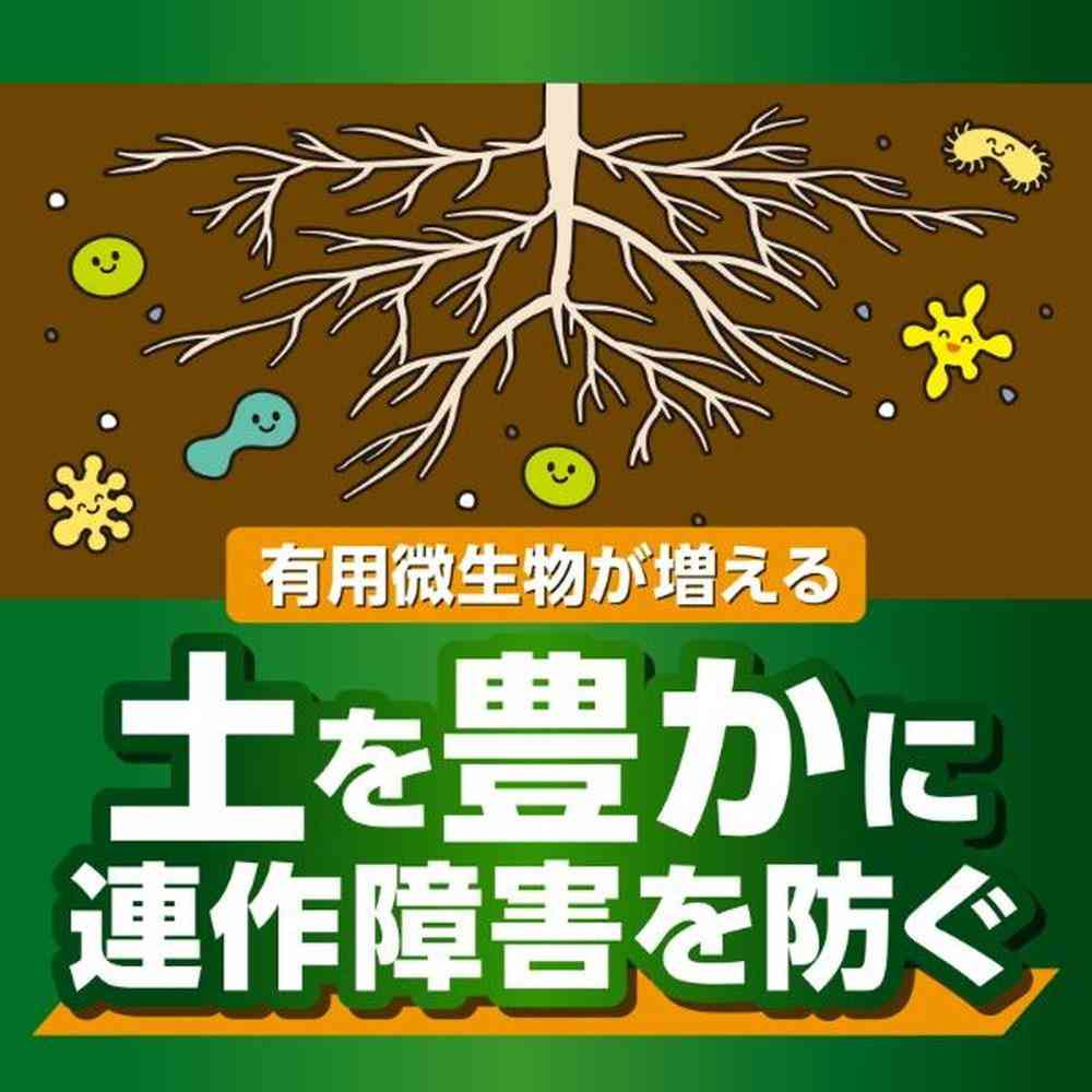キンチョー X-ENERGY ロング 粒タイプ 700g - Image 6