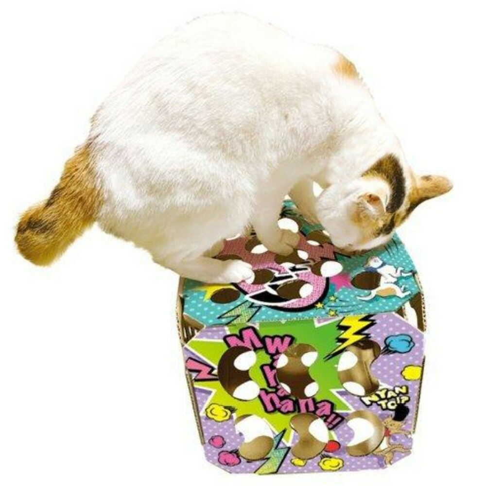 猫ちゃんテンション爆アゲBOX - Image 4