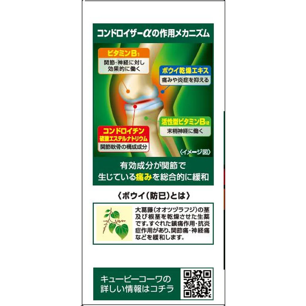 【第2類医薬品】興和 キューピーコーワ コンドロイザーα 90錠 - Image 2