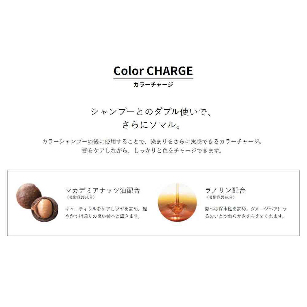 ホーユー ソマルカ SOMARCA カラーチャージ パープル 130g - Image 4