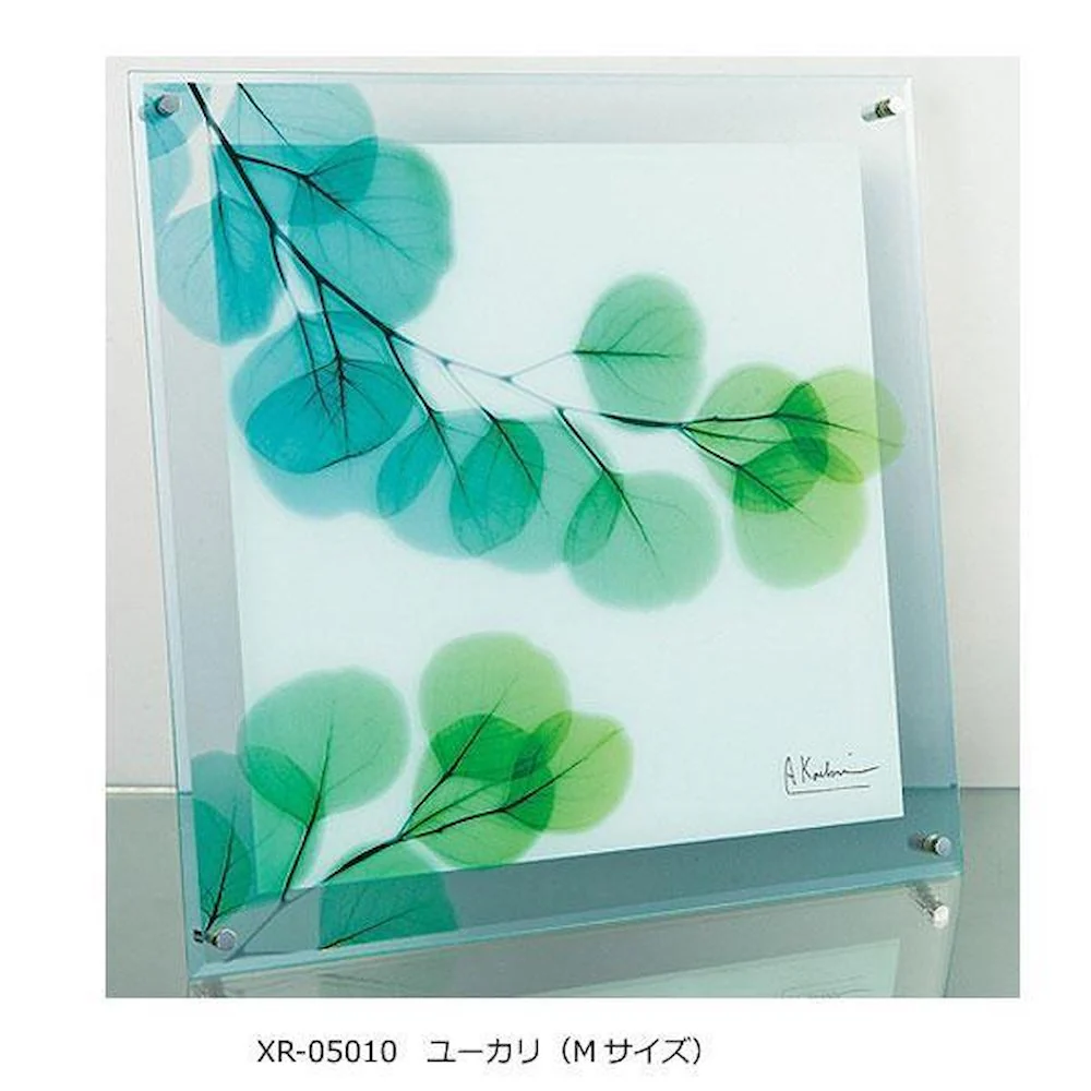 X RAY ガラス アート ユーカリ Mサイズ XR-05010 【直送品】 返品・キャンセル・他商品と同時購入は不可