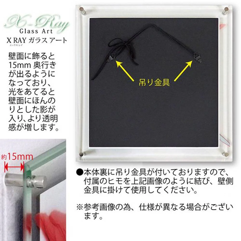 X RAY ガラス アート M 「カラフルユーカリ」 【直送品】 返品・キャンセル・他商品と同時購入は不可 - Image 4
