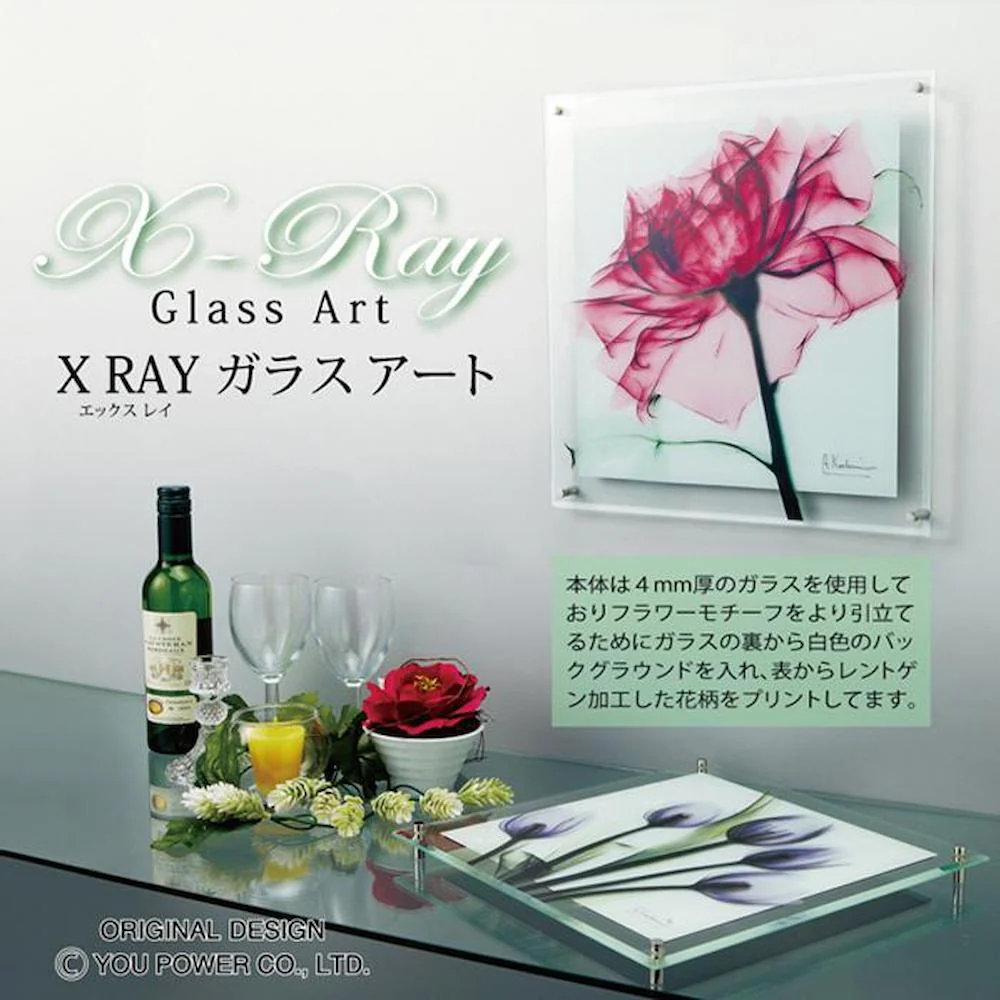 X RAY ガラス アート M 「アマリリス」 【直送品】 返品・キャンセル・他商品と同時購入は不可 - Image 3