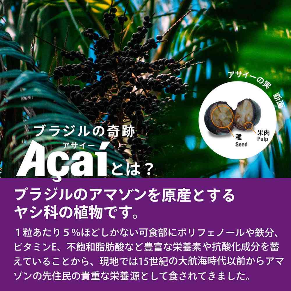 ◆[冷蔵] フルッタフルッタ アサイーベーシック195g×30本【直送品・クール便】 返品・キャンセル・他商品と同時購入は不可 - Image 4