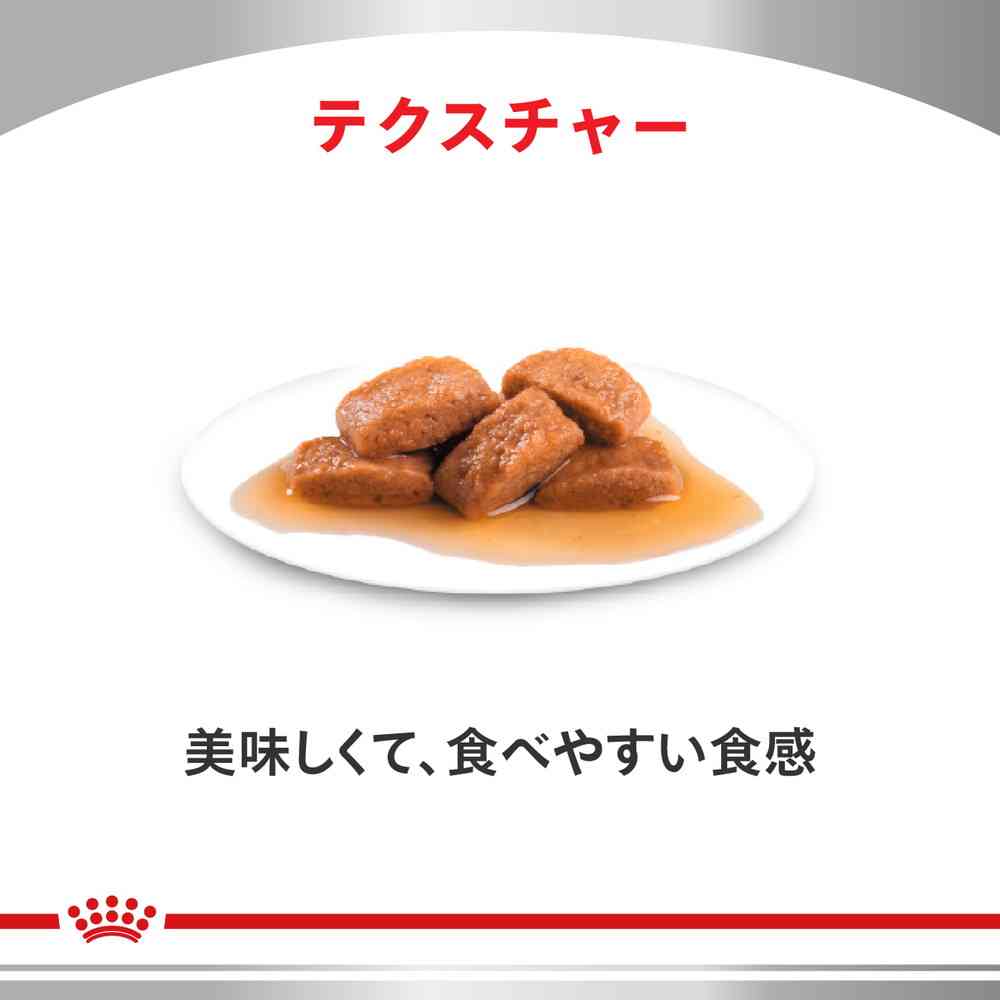 猫用 腎臓サポート チキンテイスト パウチ 85g×12 - Image 2