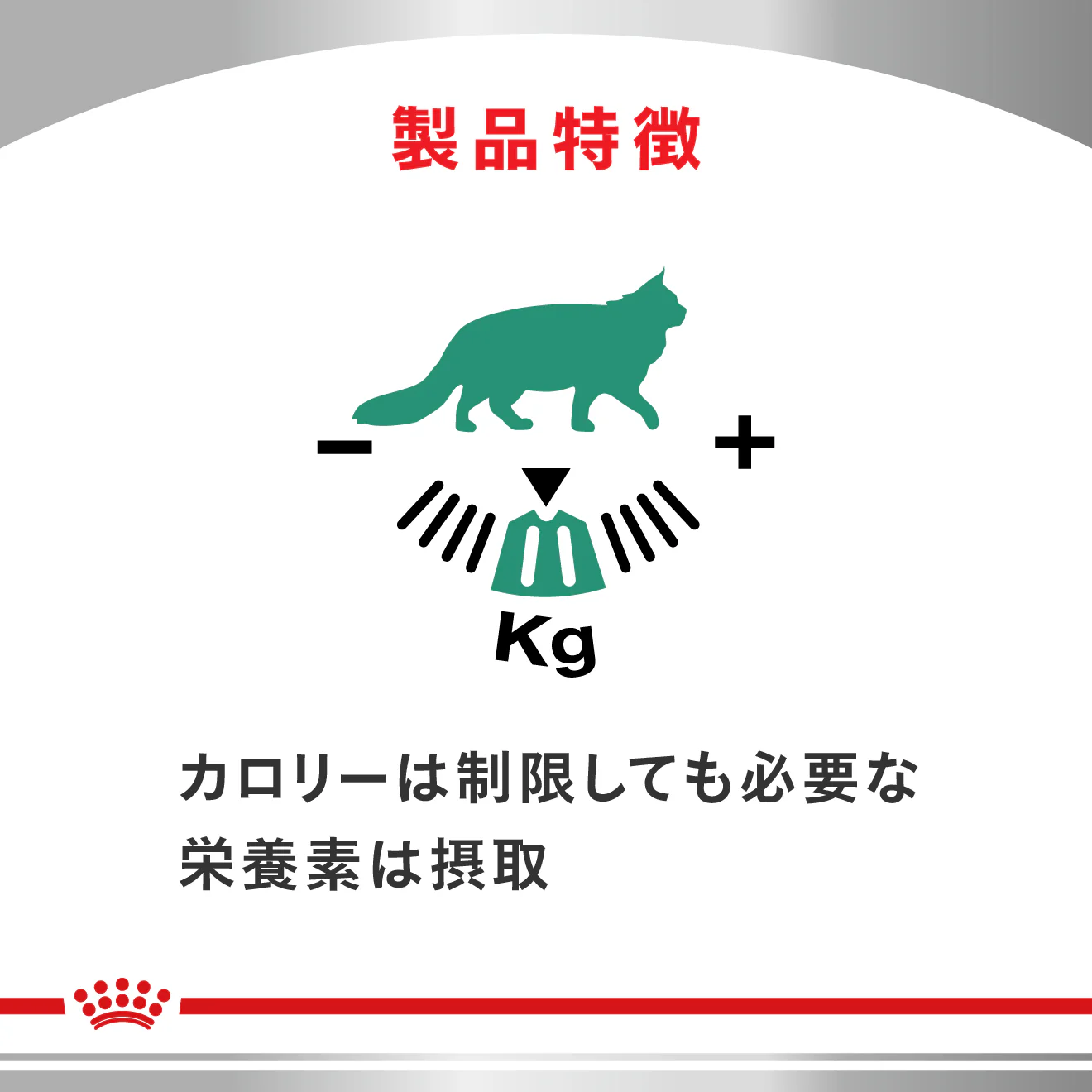 猫用 満腹感サポート パウチ 85g×12 - Image 5