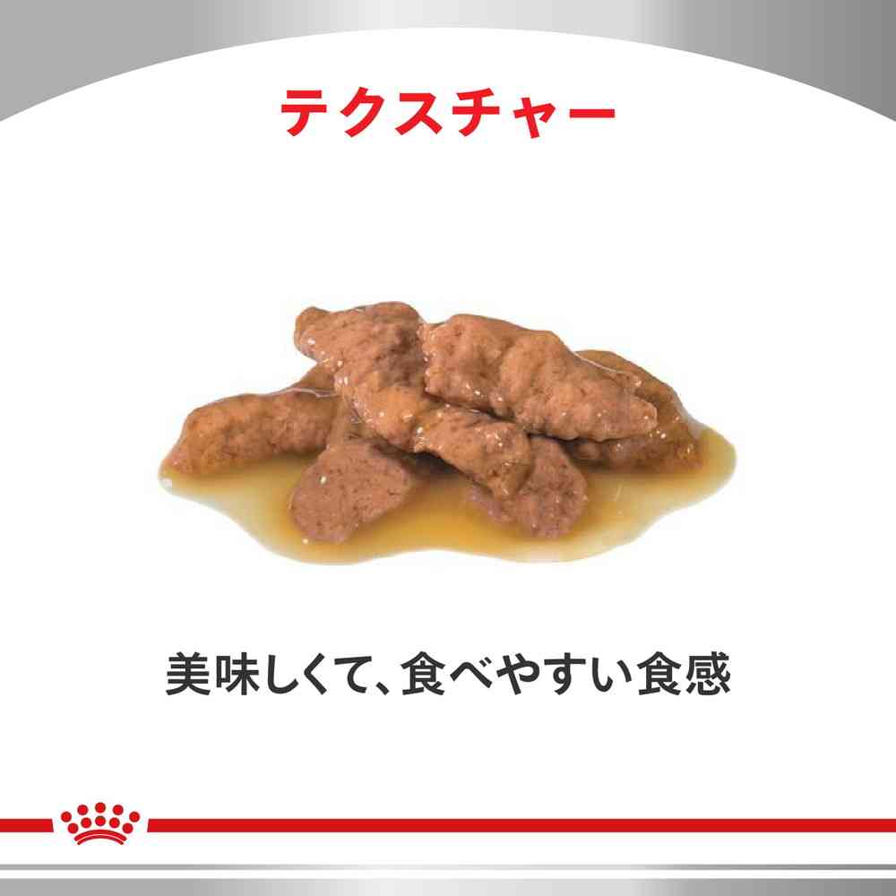 猫用 ユリナリーS/O パウチ 85g×12 - Image 2