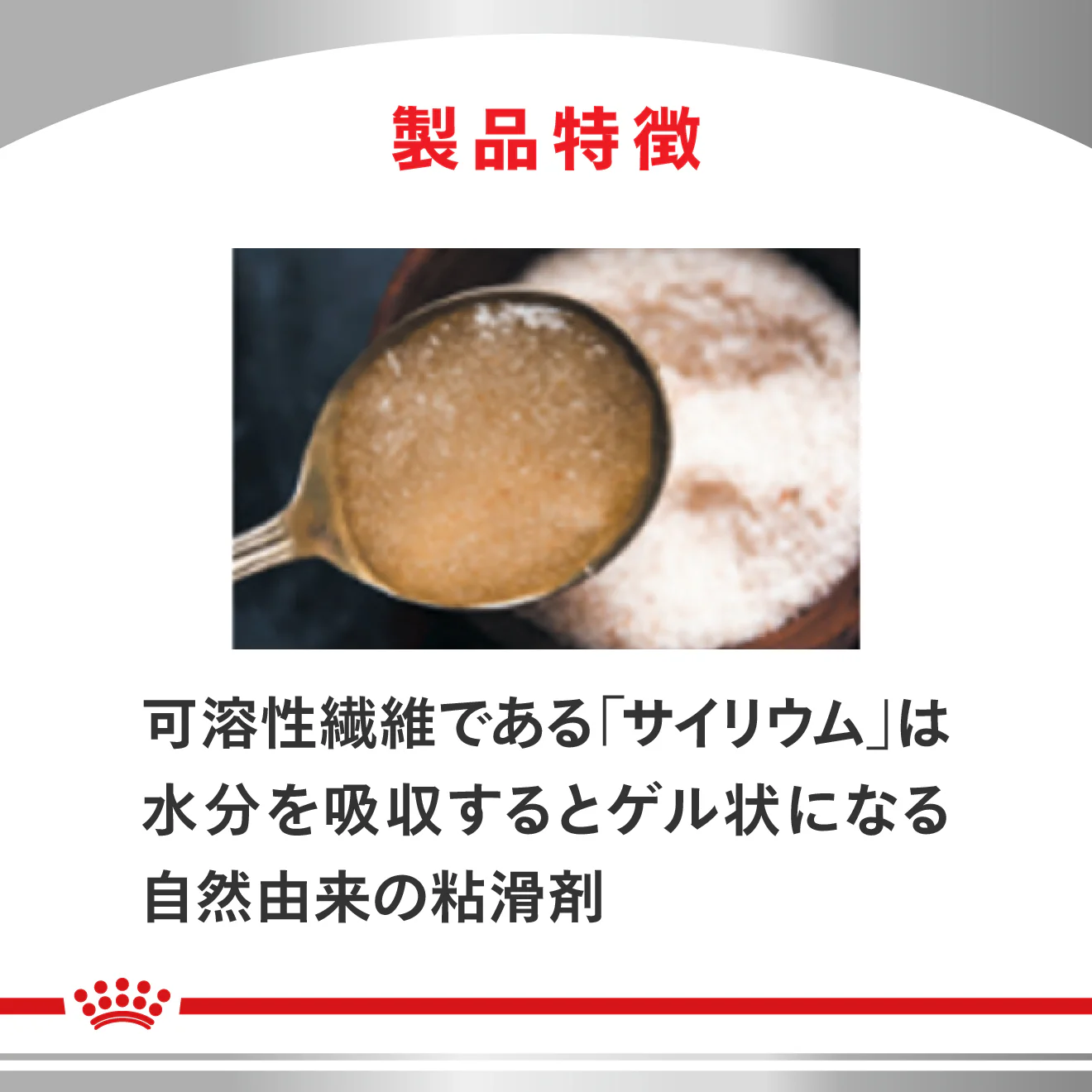 猫用 消化器サポート 可溶性繊維 パウチ 85g×12 - Image 5