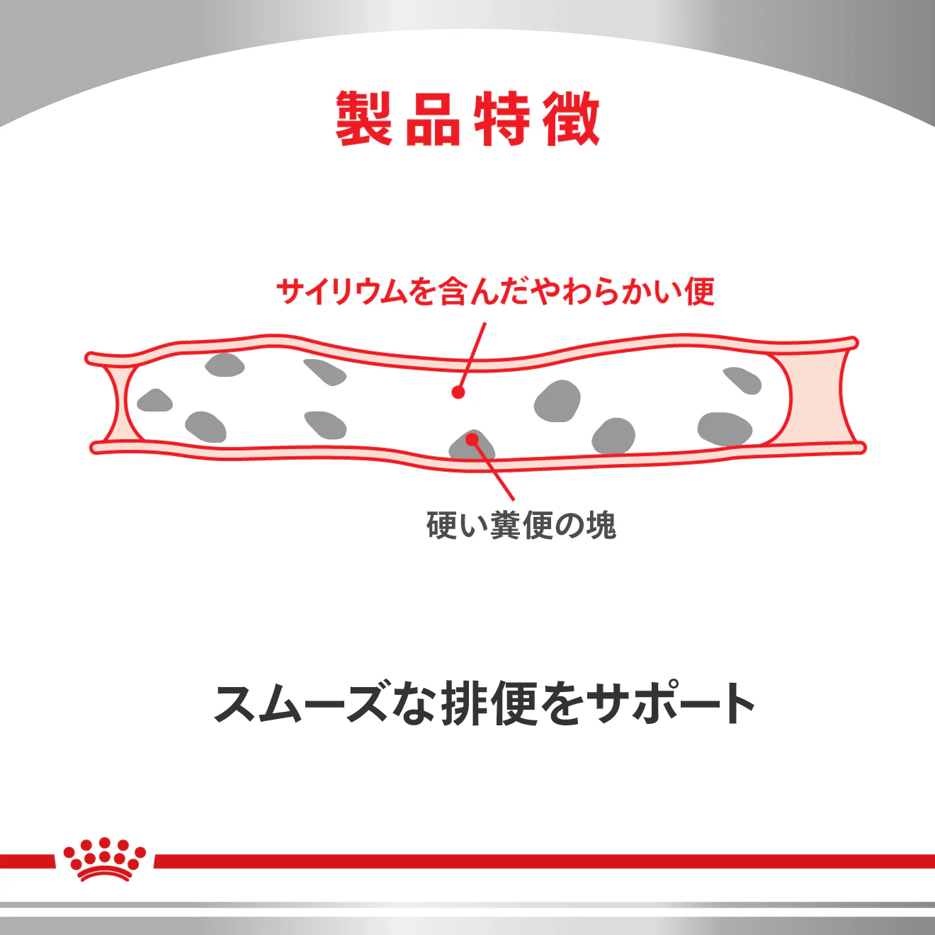 猫用 消化器サポート 可溶性繊維 パウチ 85g×12 - Image 6