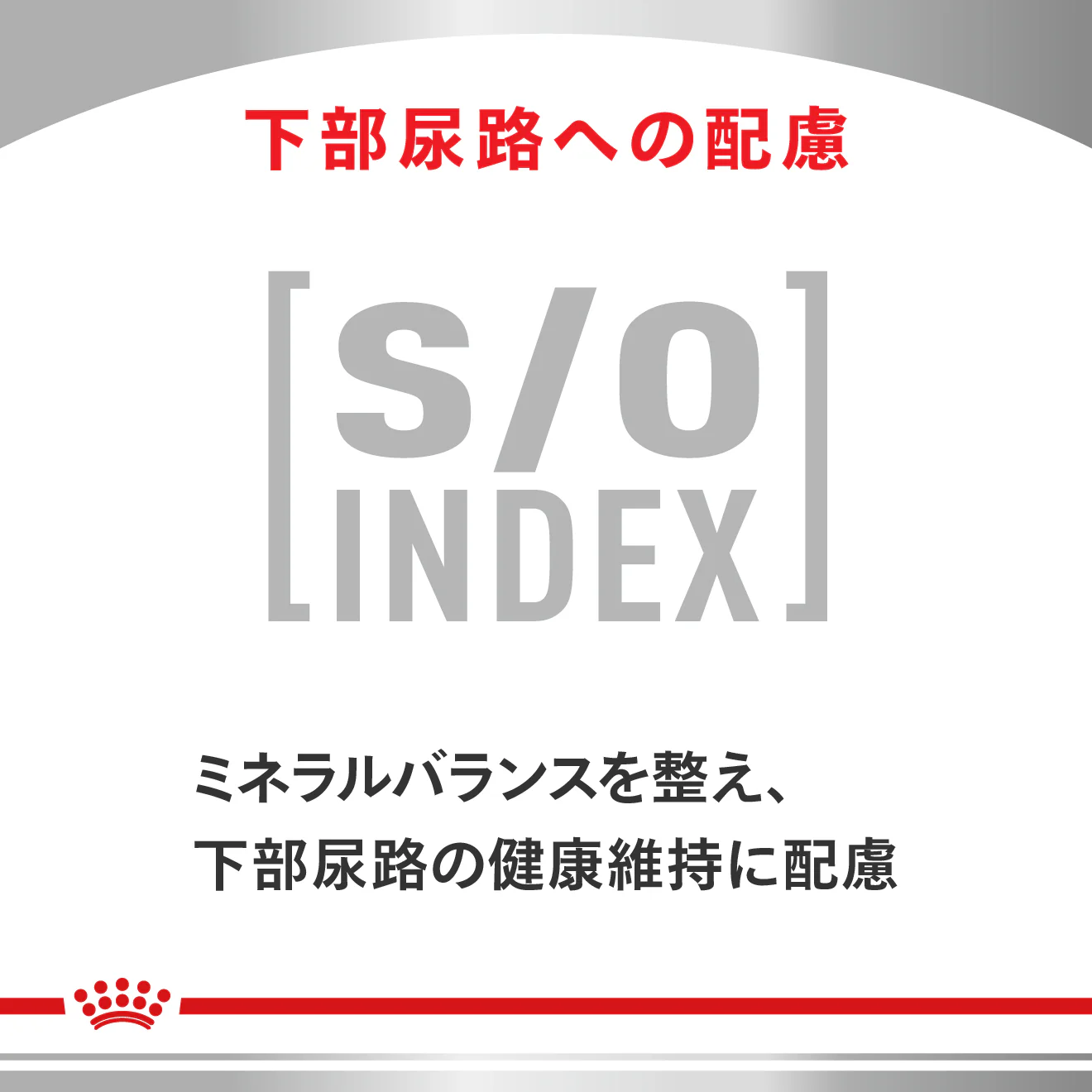 猫用 消化器サポート 可溶性繊維 パウチ 85g×12 - Image 7